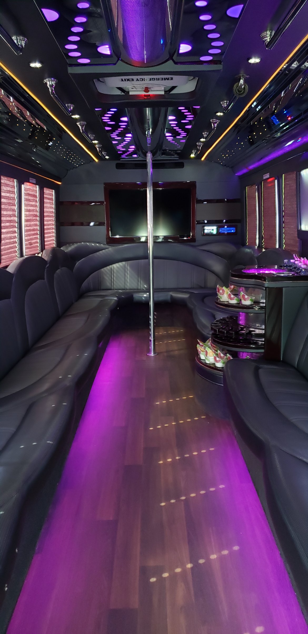 Limo Bus for Sale in Houston, TX - Photo 18