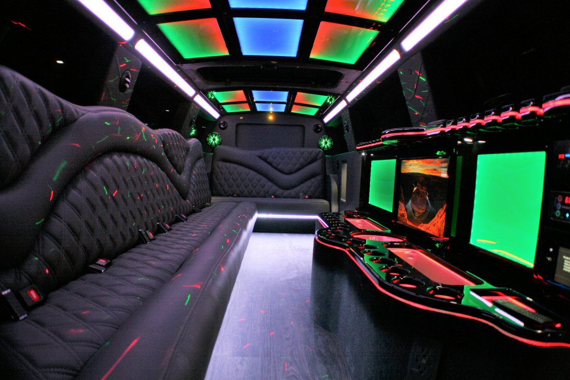 2019 14 passenger SUV Stretch - Photo 4