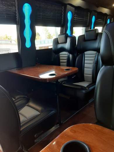 2014 Ford E-450 Limo Bus