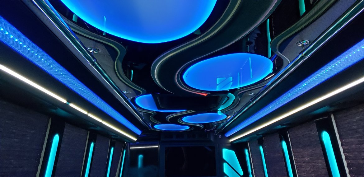 Limo Bus for Sale in Houston, TX - Photo 24