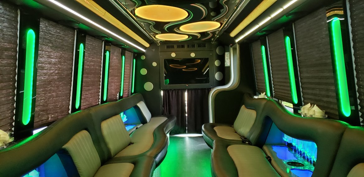 Limo Bus for Sale in Houston, TX - Photo 16