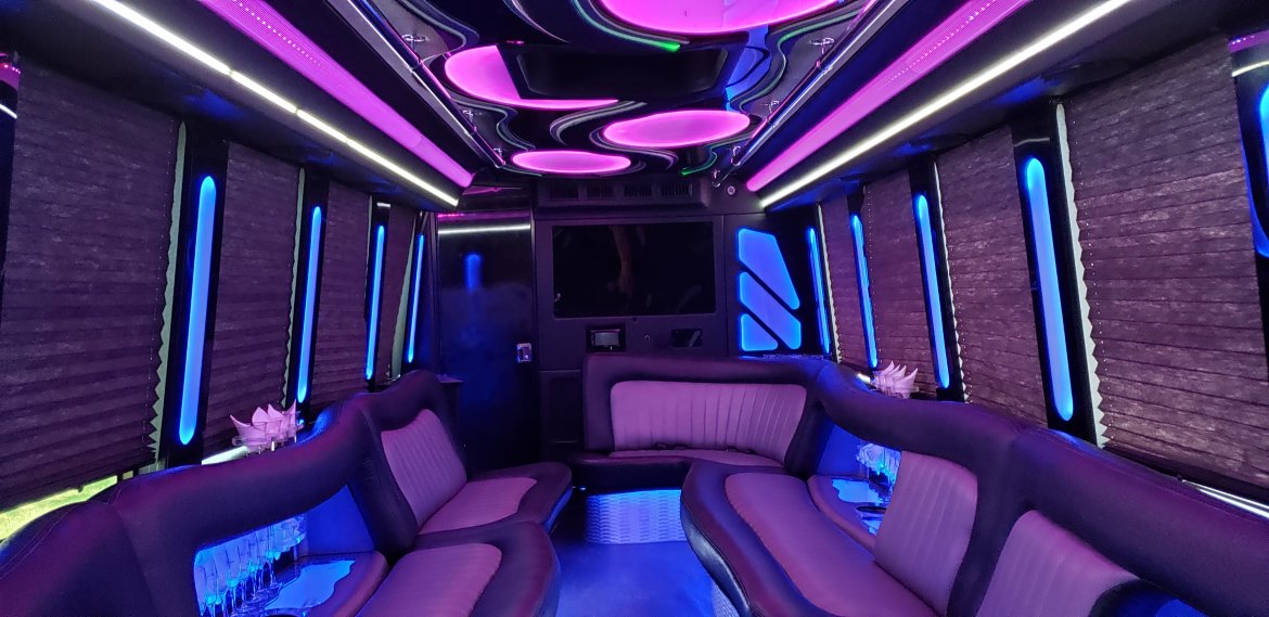 Limo Bus for Sale in Houston, TX - Photo 17