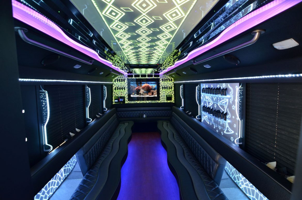 Limo Bus for Sale in NORTH EAST, PA - Photo 7