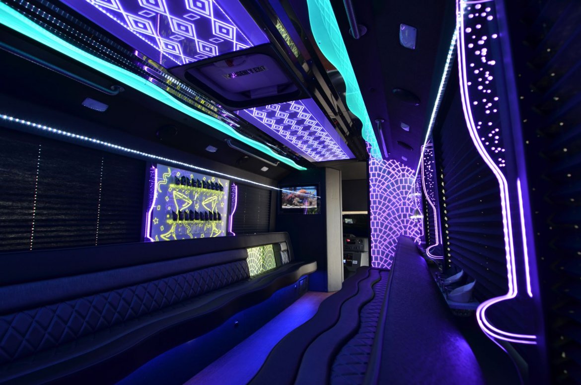 Limo Bus for Sale in NORTH EAST, PA - Photo 3