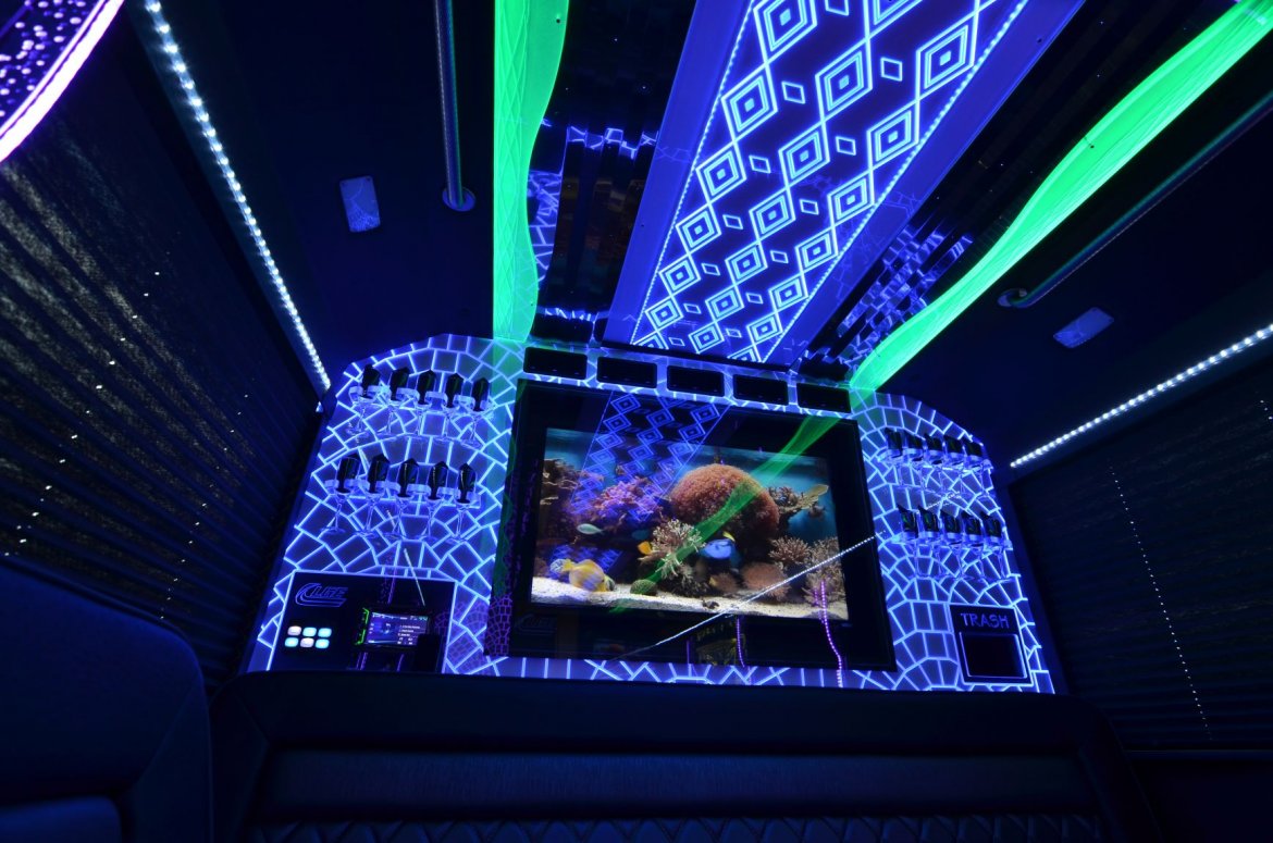 Limo Bus for Sale in NORTH EAST, PA - Photo 8