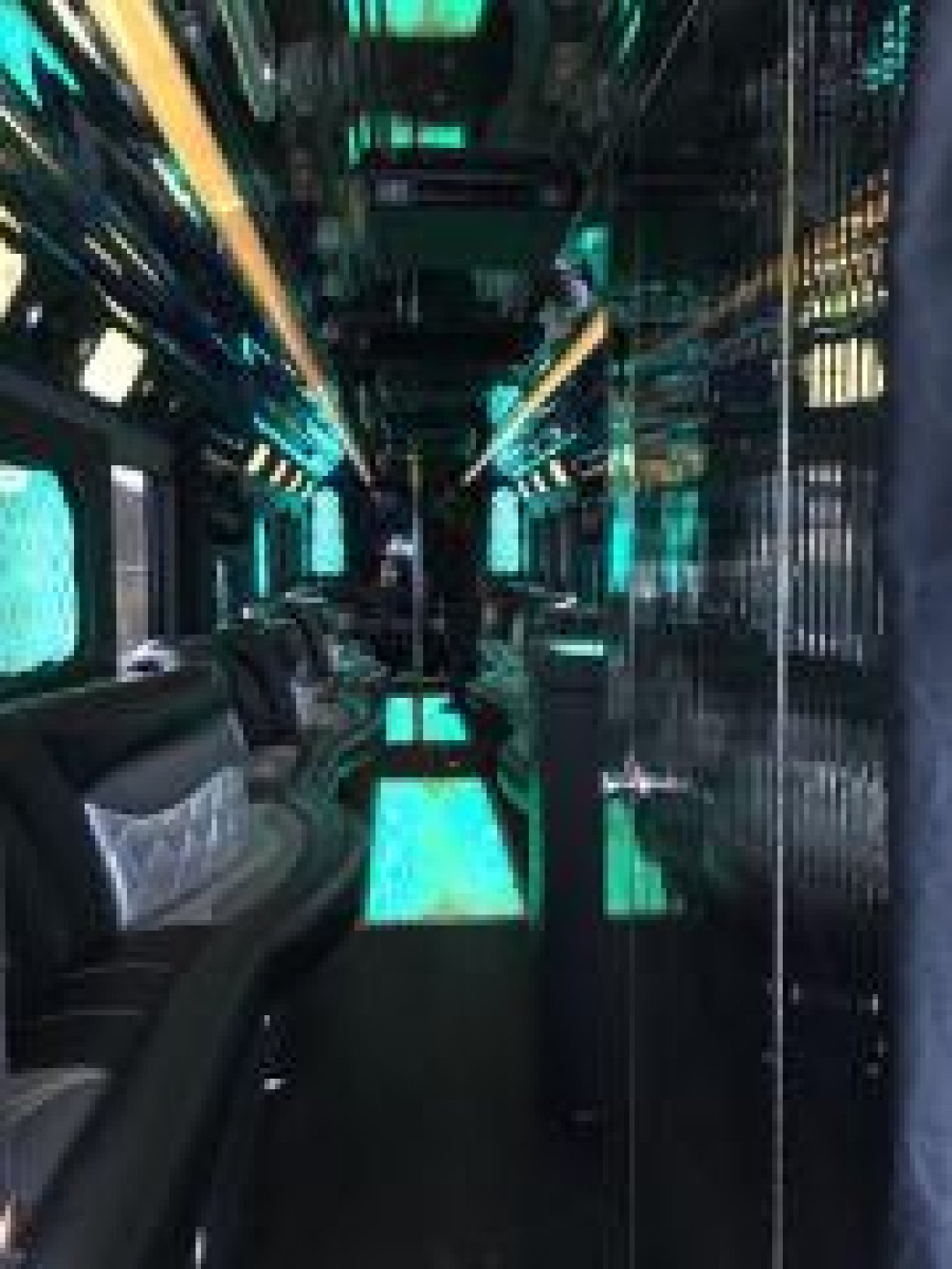 Limo Bus for Sale in Staten Island, NY - Photo 15