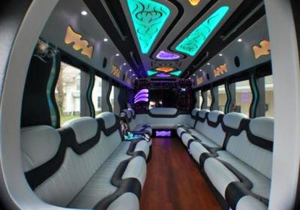 2013 IC Bus Diesel Limo Bus for Sale in North East, PA - Main Photo