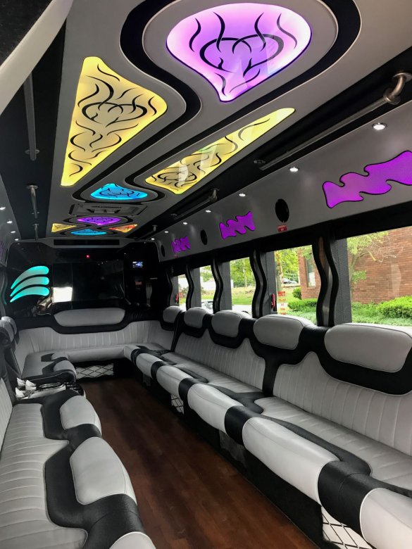 2013 IC Bus Diesel Limo Bus for Sale in North East, PA - Photo 2