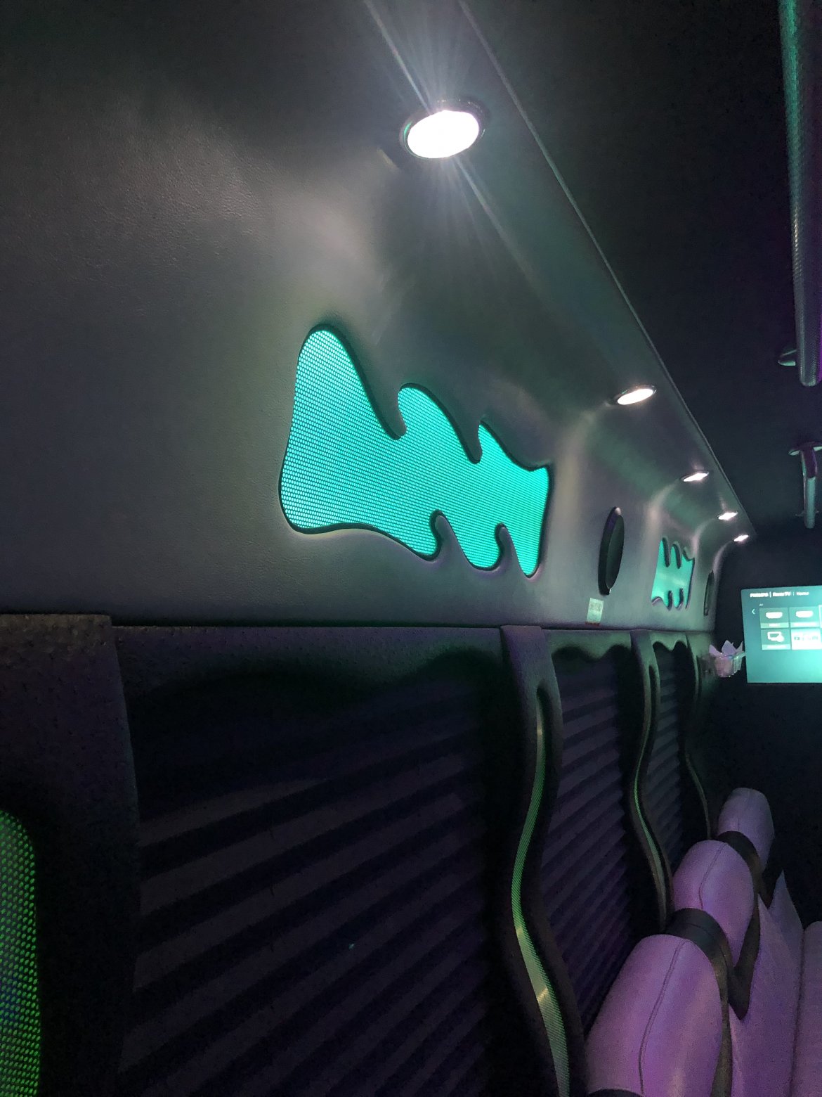 Limo Bus for Sale in North East, PA - Photo 18