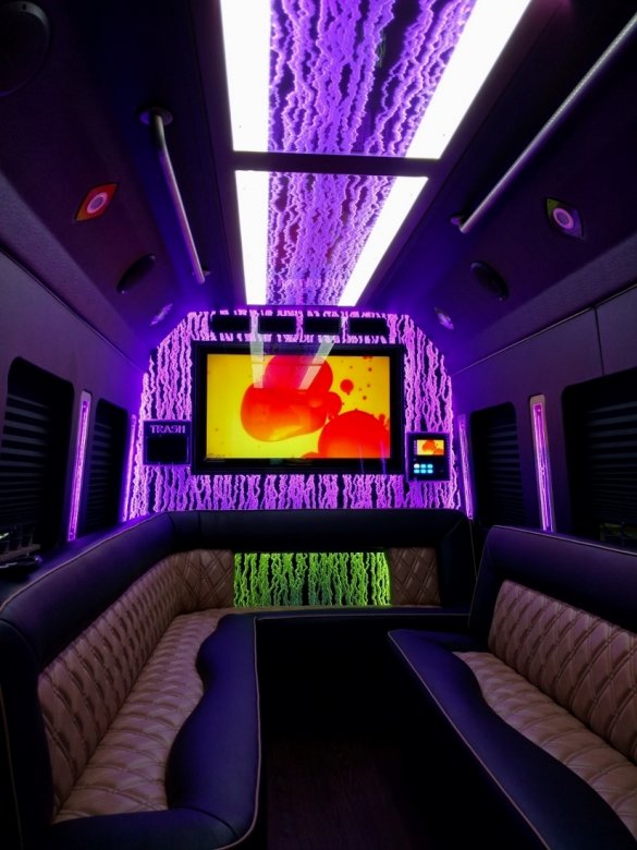 2019 Ford Transit Limo Bus for Sale in NORTH EAST, PA - Photo 2