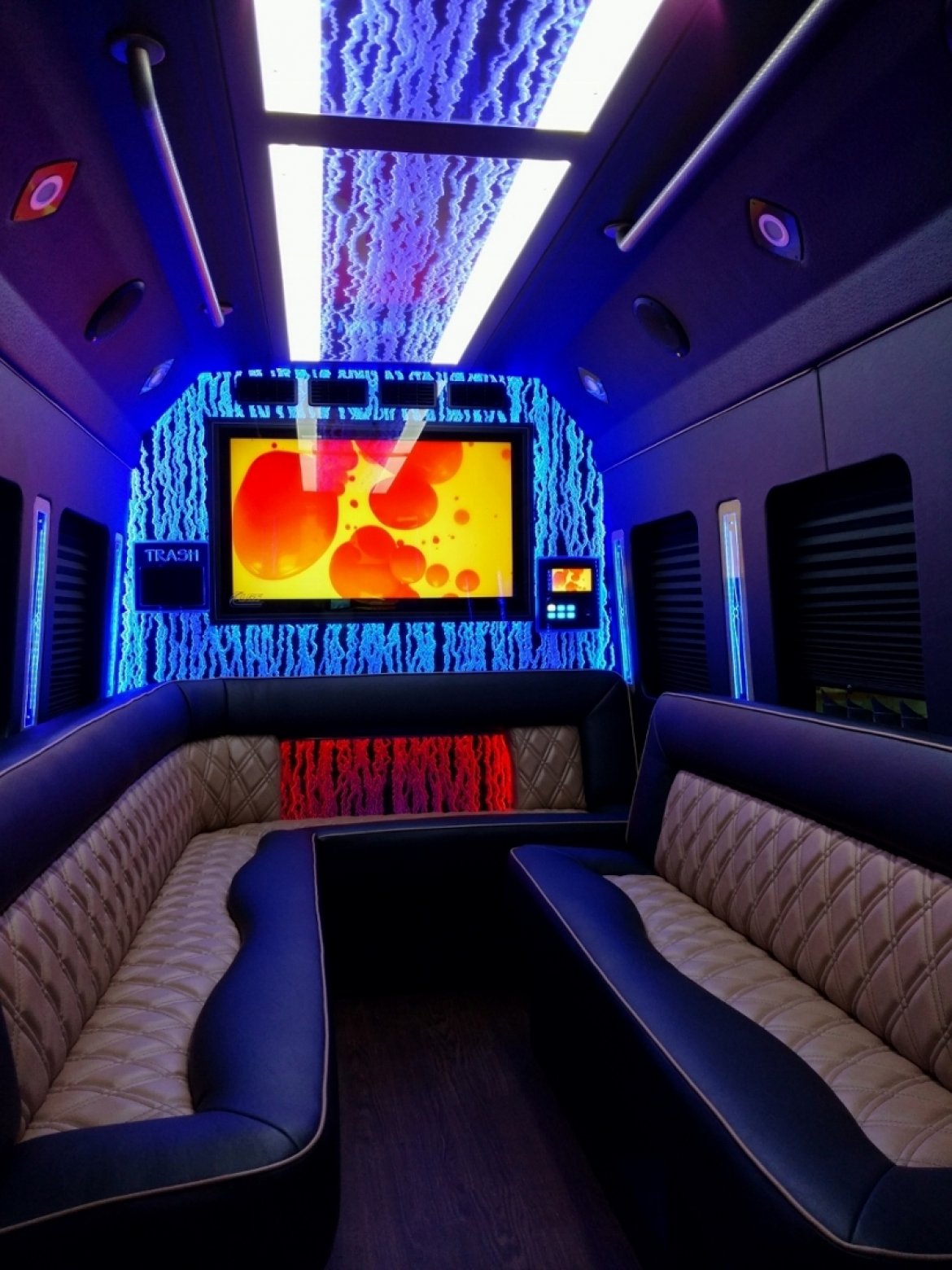 Limo Bus for Sale in NORTH EAST, PA - Photo 5