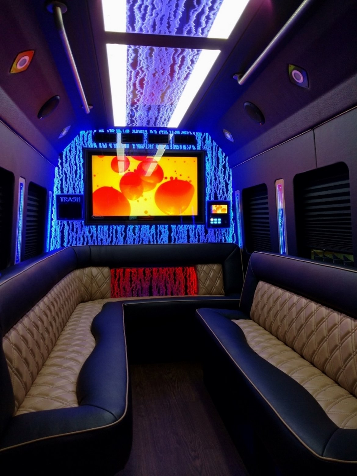 Limo Bus for Sale in NORTH EAST, PA - Photo 8