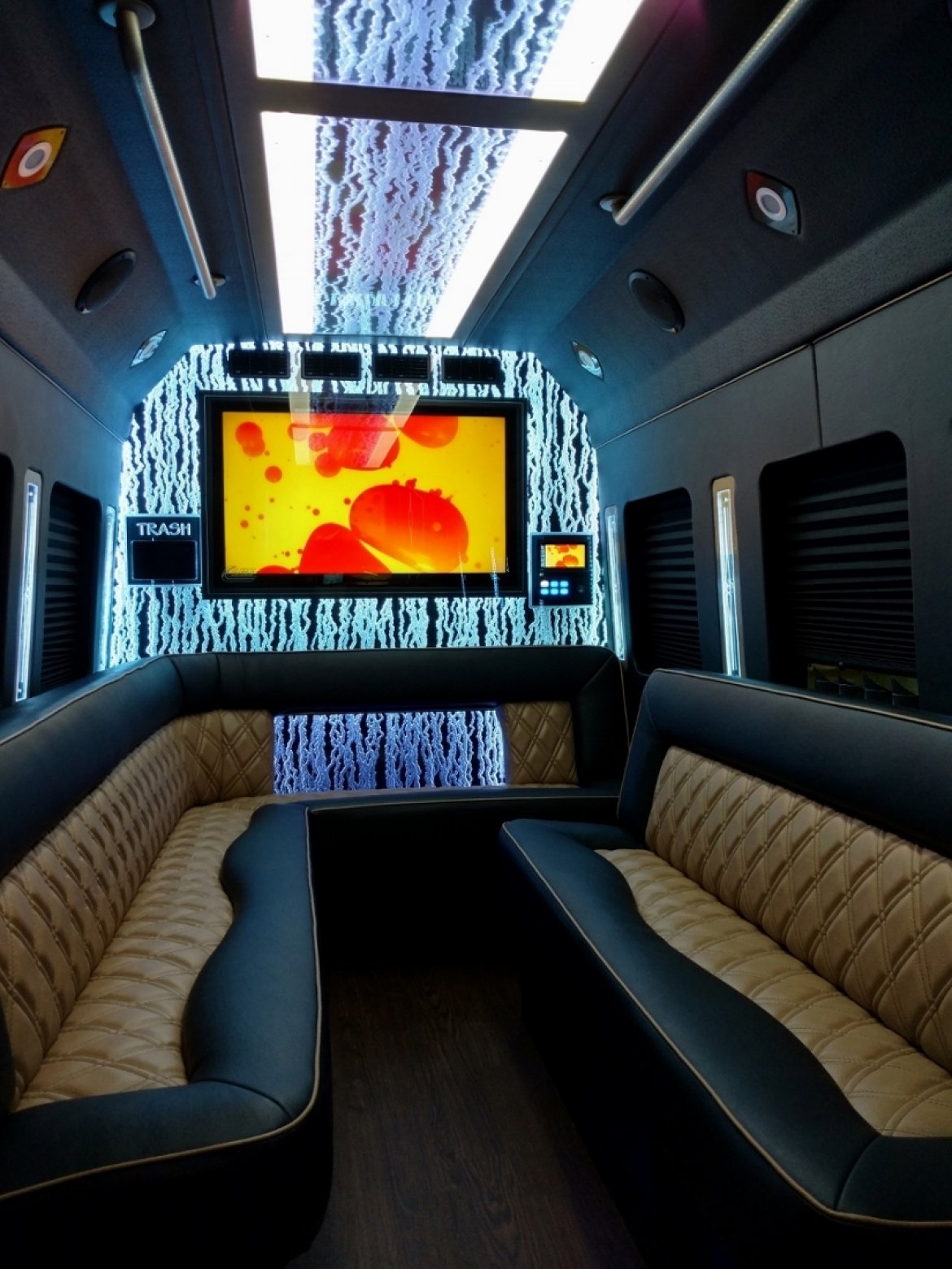 Limo Bus for Sale in NORTH EAST, PA - Photo 9