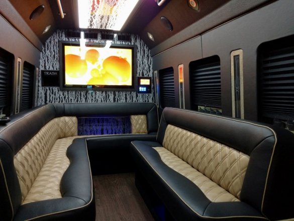 2019 Ford Transit Limo Bus for Sale in NORTH EAST, PA - Photo 3