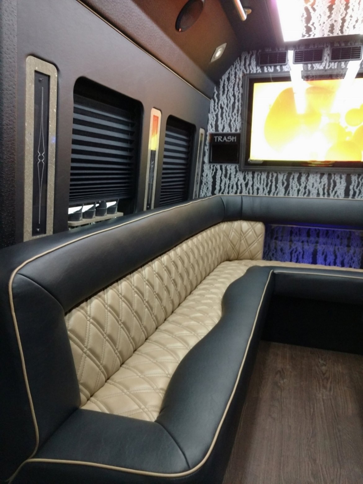 Limo Bus for Sale in NORTH EAST, PA - Photo 13