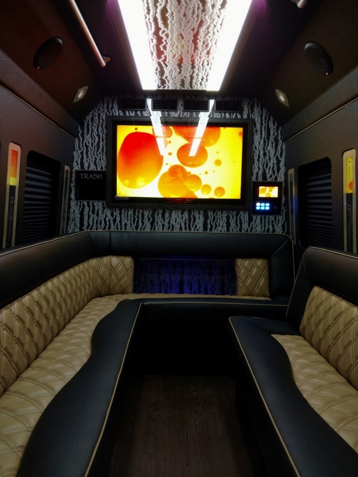 Limo Bus for Sale in NORTH EAST, PA - Photo 14