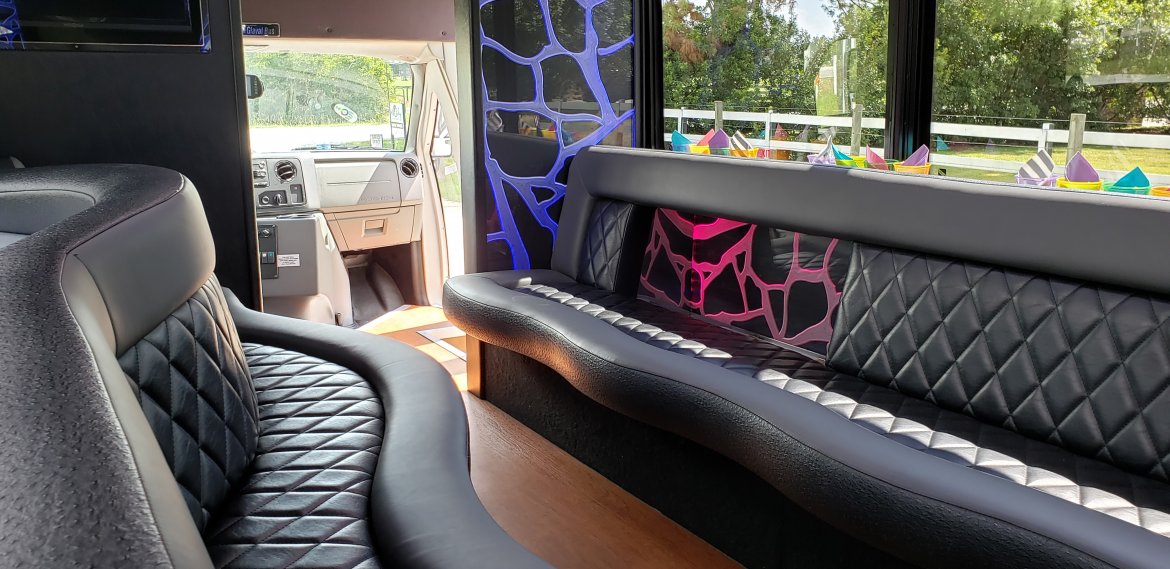 Limo Bus for Sale in Houston, TX - Photo 19