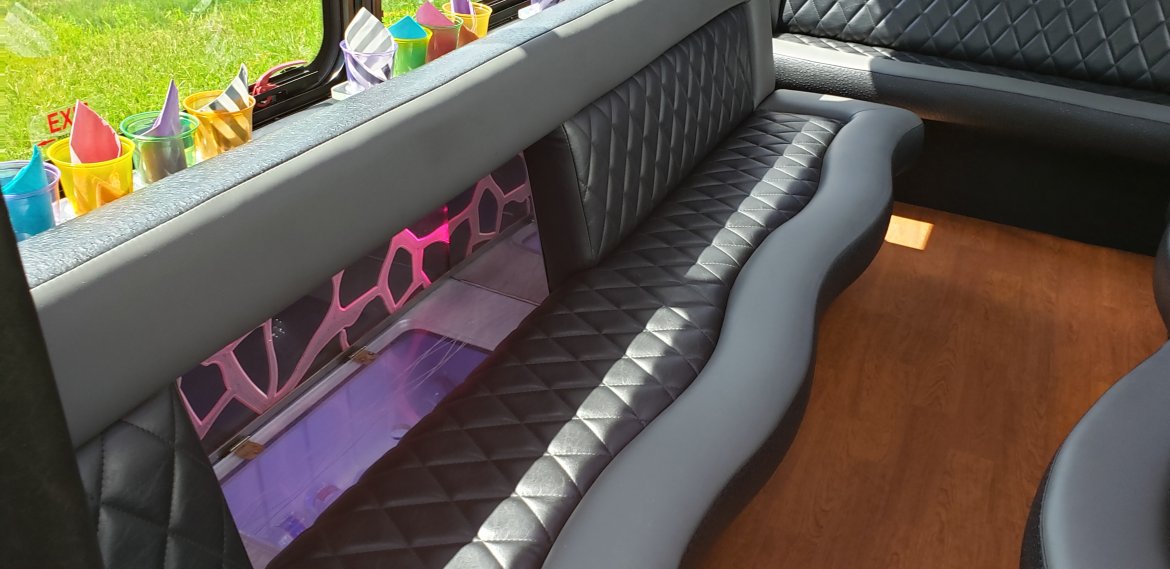 Limo Bus for Sale in Houston, TX - Photo 20