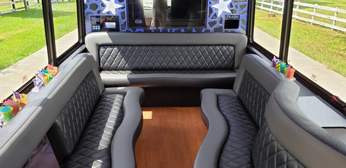 Limo Bus for Sale in Houston, TX - Photo 12