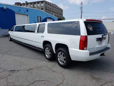 Photo 5