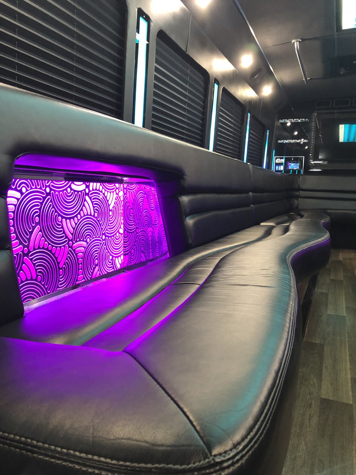 Limo Bus for Sale in NORTH EAST, PA - Photo 4