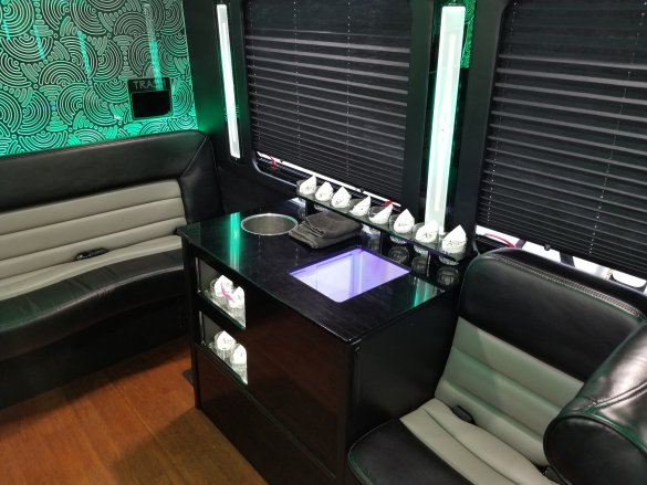 2014 Ford E-450 Limo Bus for Sale in NORTH EAST, PA - Photo 2