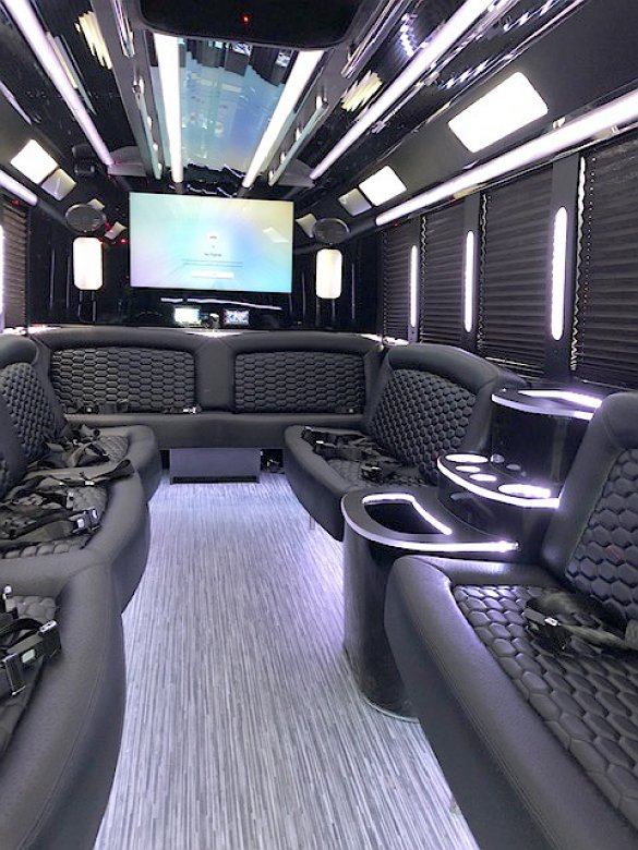 2020 Ford E-450 Limo Bus for Sale in oaklyn, NJ - Photo 3