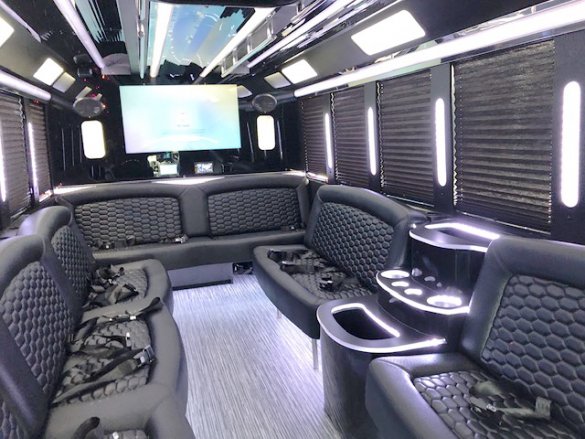 2020 Ford E-450 Limo Bus for Sale in oaklyn, NJ - Photo 2