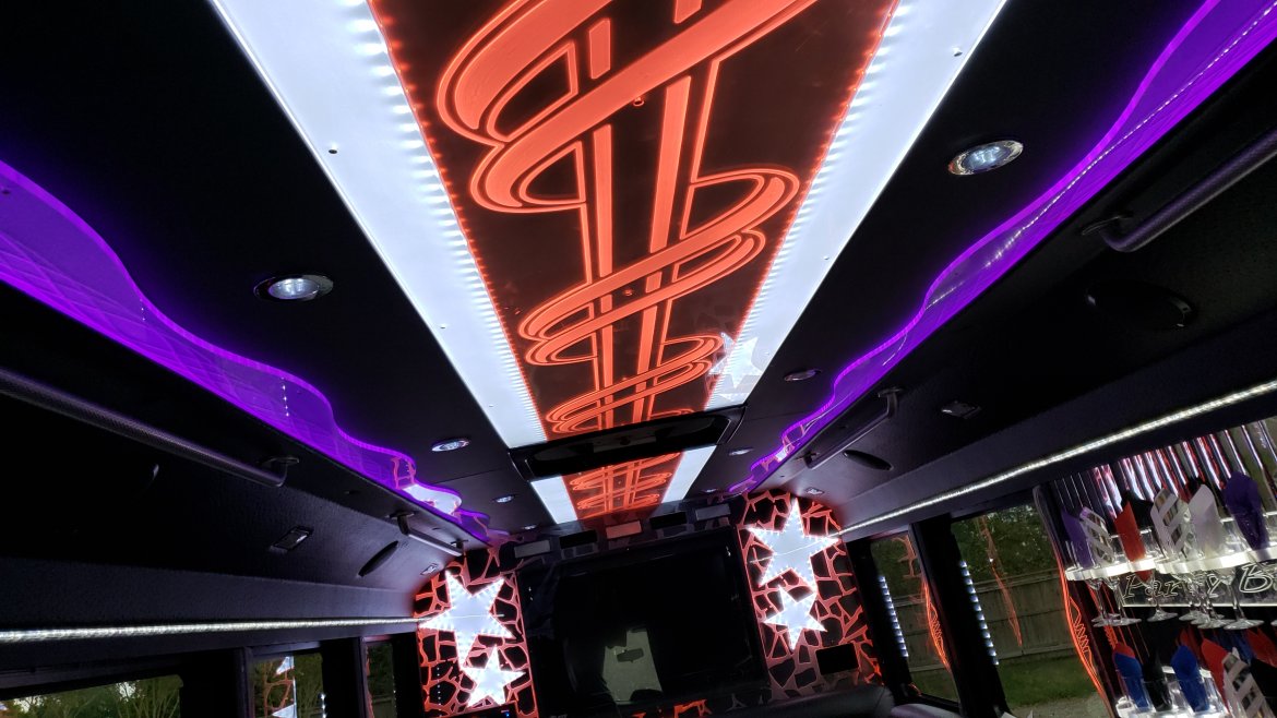 Limo Bus for Sale in Houston, TX - Photo 22