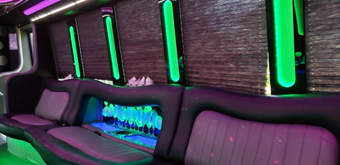 Limo Bus for Sale in Houston, TX - Photo 19
