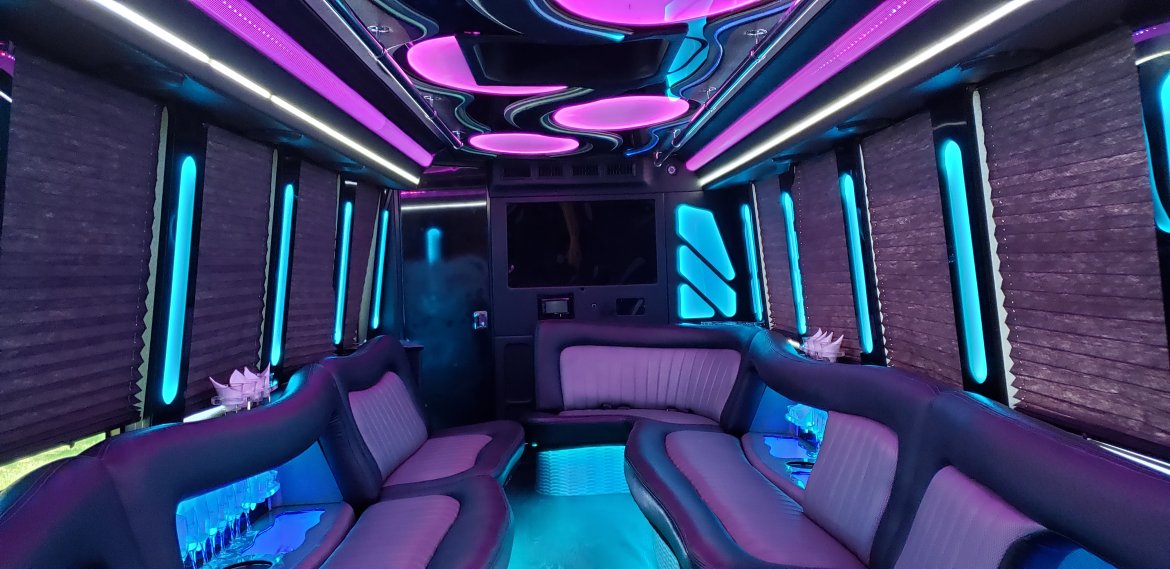 Limo Bus for Sale in Houston, TX - Photo 12