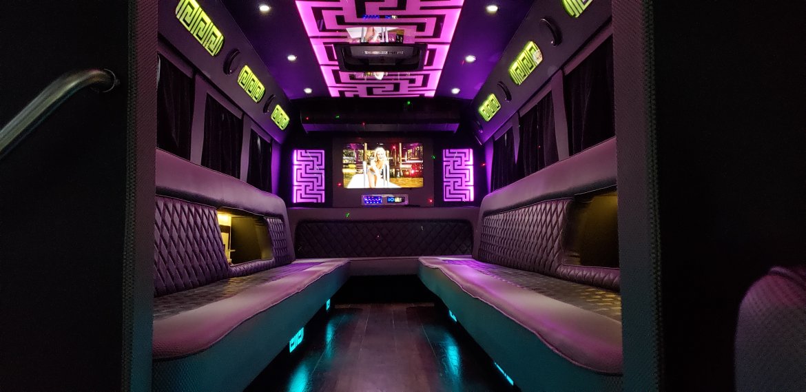 Limo Bus for Sale in Houston, TX - Photo 14