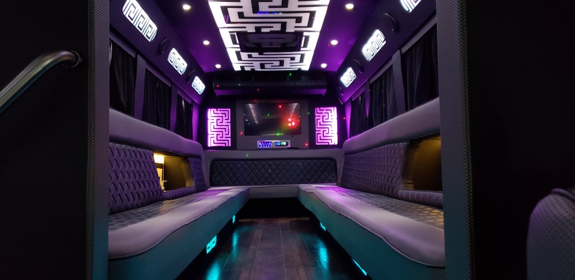 Limo Bus for Sale in Houston, TX - Photo 21