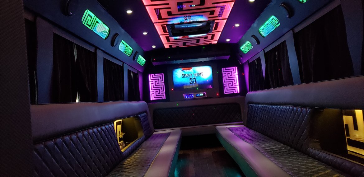 Limo Bus for Sale in Houston, TX - Photo 22