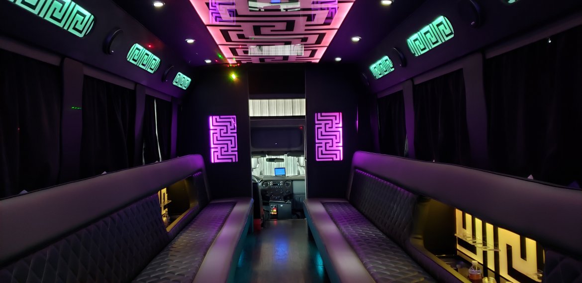 Limo Bus for Sale in Houston, TX - Photo 15