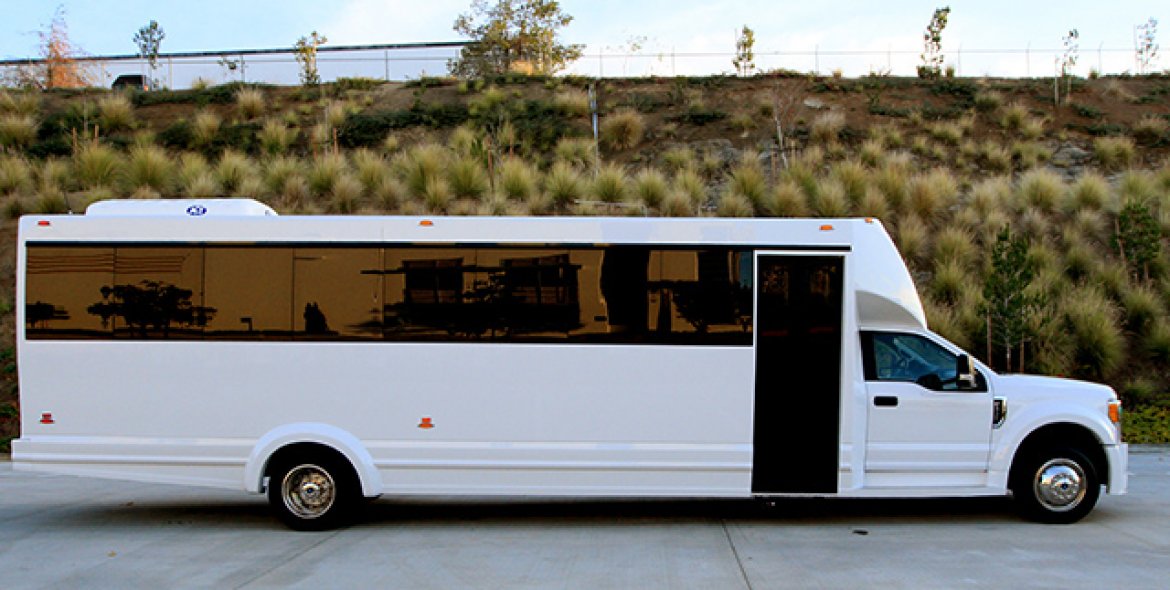 2018 Tiffany Ford 550 Limo Bus - Photo 3