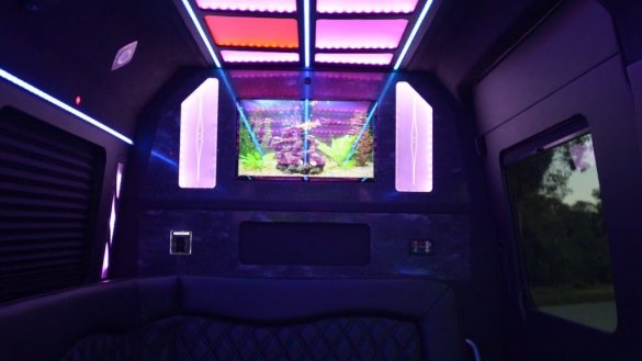 2018 Mercedes-Benz Sprinter Limo Bus for Sale in Margate, FL - Photo 3