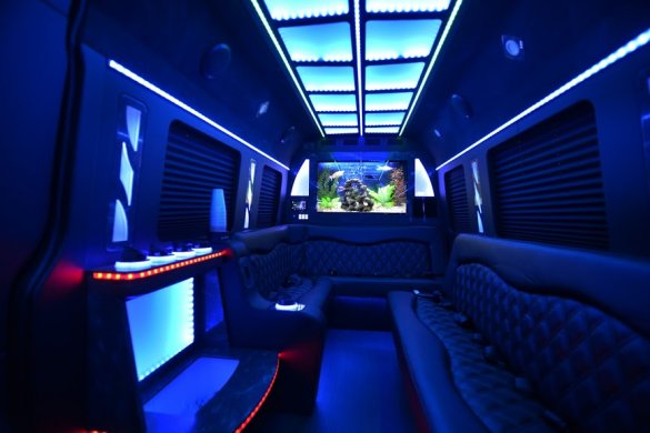 2018 Mercedes-Benz Sprinter Limo Bus for Sale in Margate, FL - Photo 2