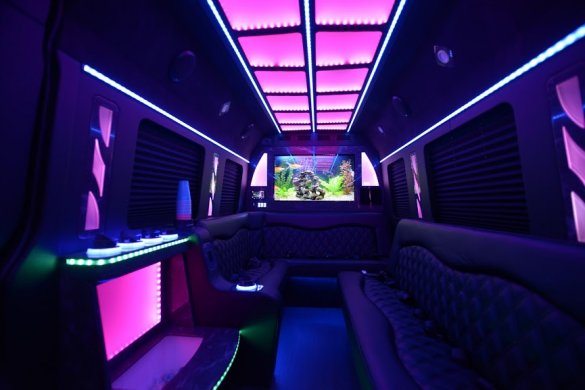 2018 Mercedes-Benz Sprinter Limo Bus for Sale in Margate, FL - Main Photo