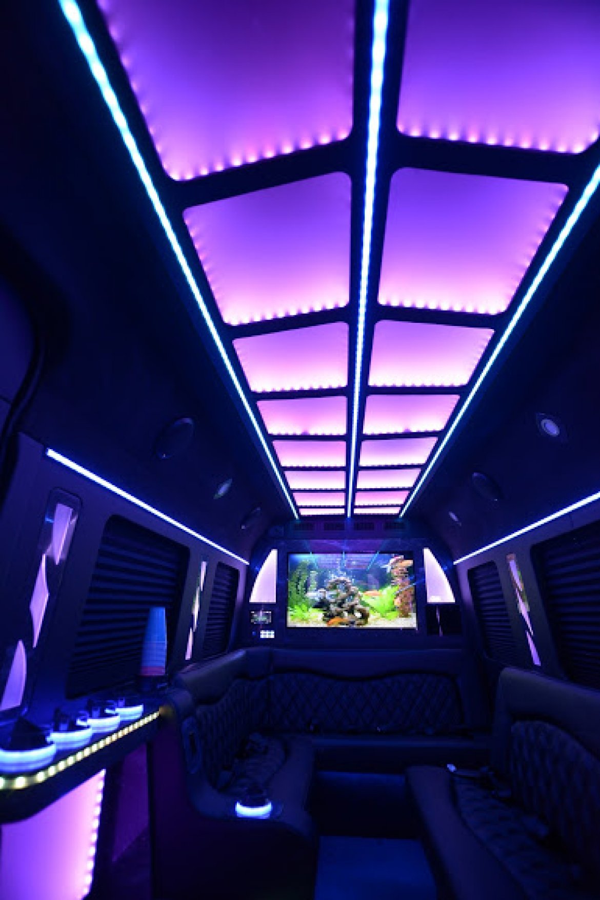 Limo Bus for Sale in Margate, FL - Photo 6