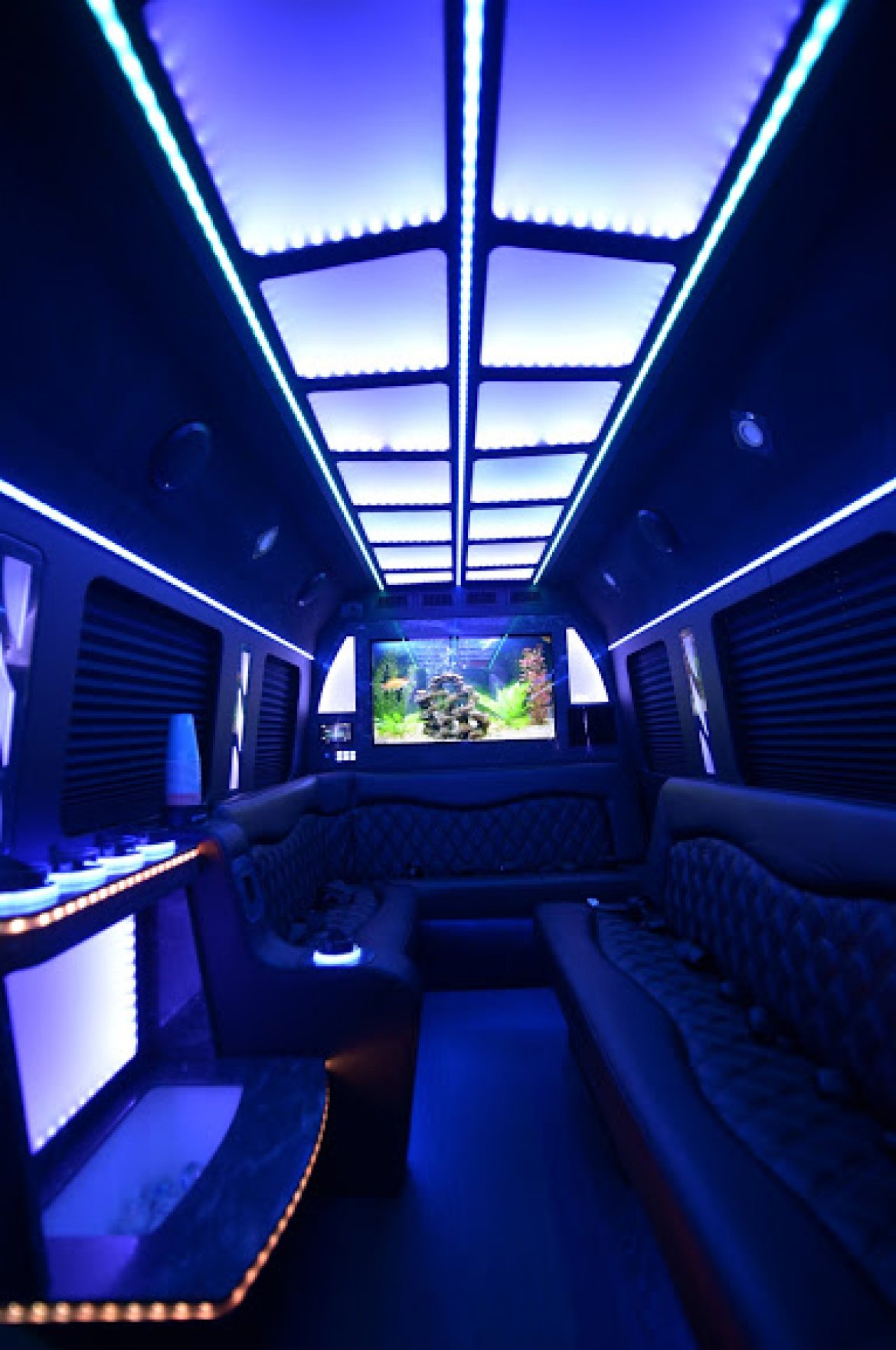 Limo Bus for Sale in Margate, FL - Photo 8