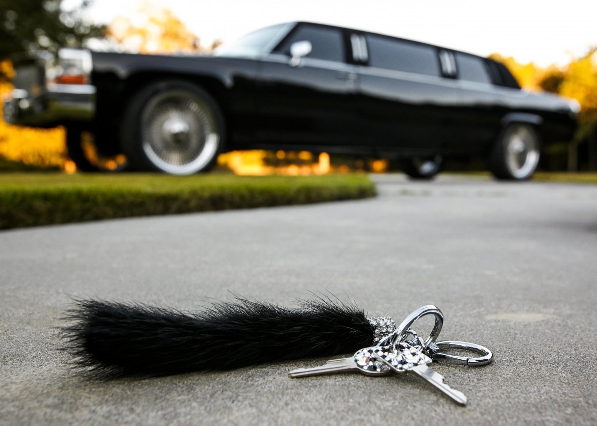 1987 Custom Cadillac Custom Limo Exotic - Photo 3