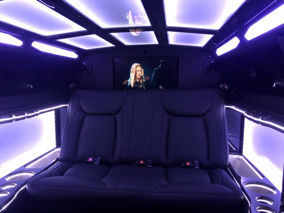 2019 Chrysler 300 Limousine for Sale in Morganville, NJ - Photo 3