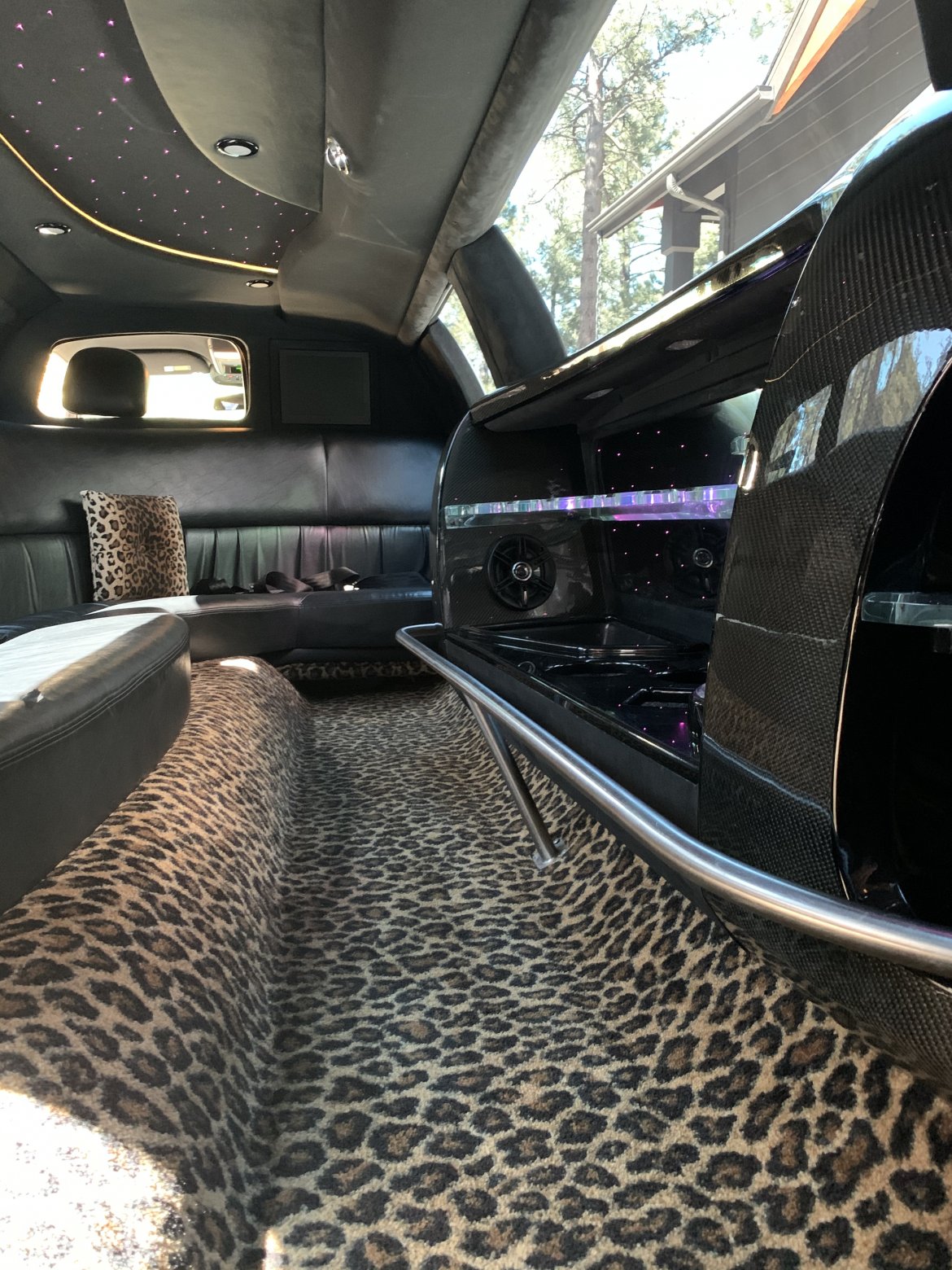 Limousine for Sale in Big Bear Lake, CA - Photo 9