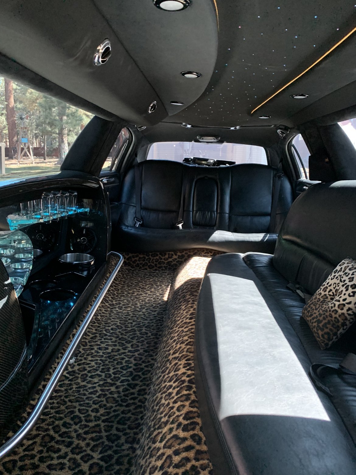 Limousine for Sale in Big Bear Lake, CA - Photo 15