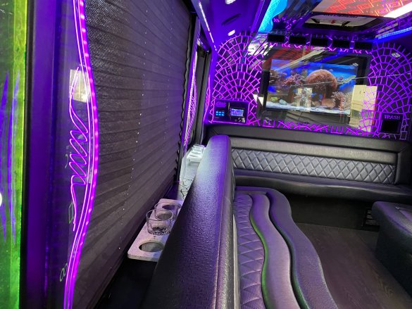 2016 Freightliner M2 Limo Bus for Sale in Scottsdale, AZ - Photo 3