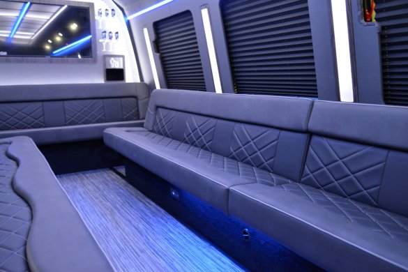 2020 Ford E-450 Limo Bus for Sale in North East, PA - Photo 3