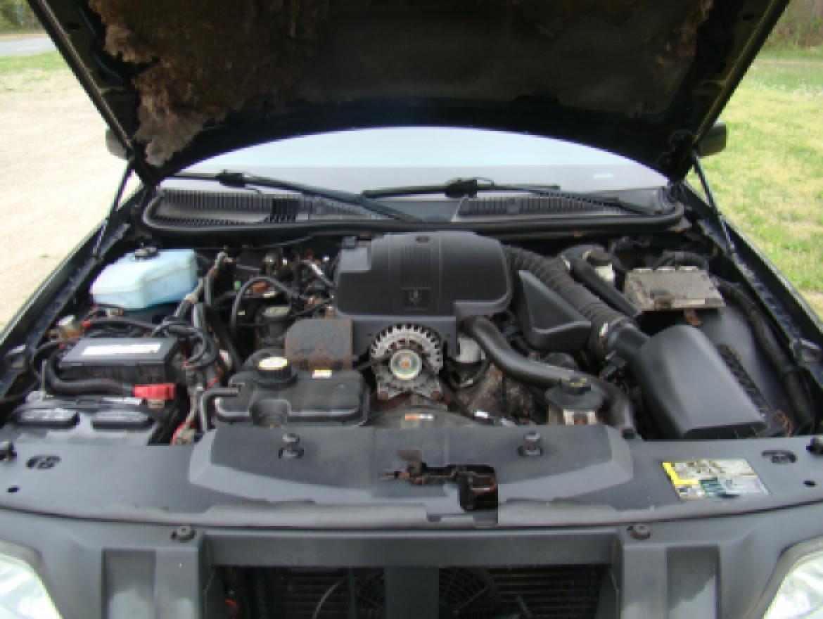 Photo of Limousine for sale: 2005 Lincoln  Town Car Royale