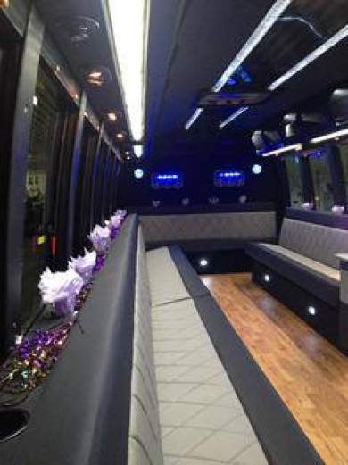 2008 Ford F550 Limo Bus for Sale in Lenox, Michigan, US - Photo 3