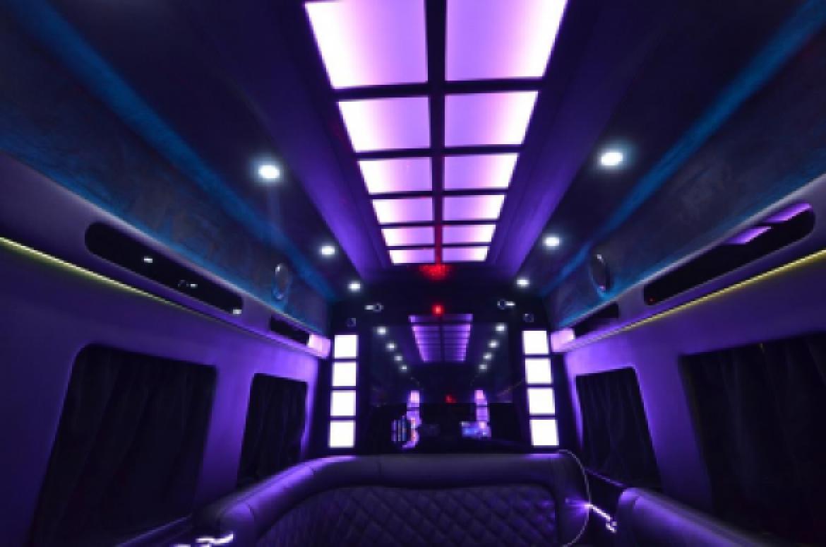 Photo of Sprinter for sale: 2016 Ford Transit by Global Motor Coach